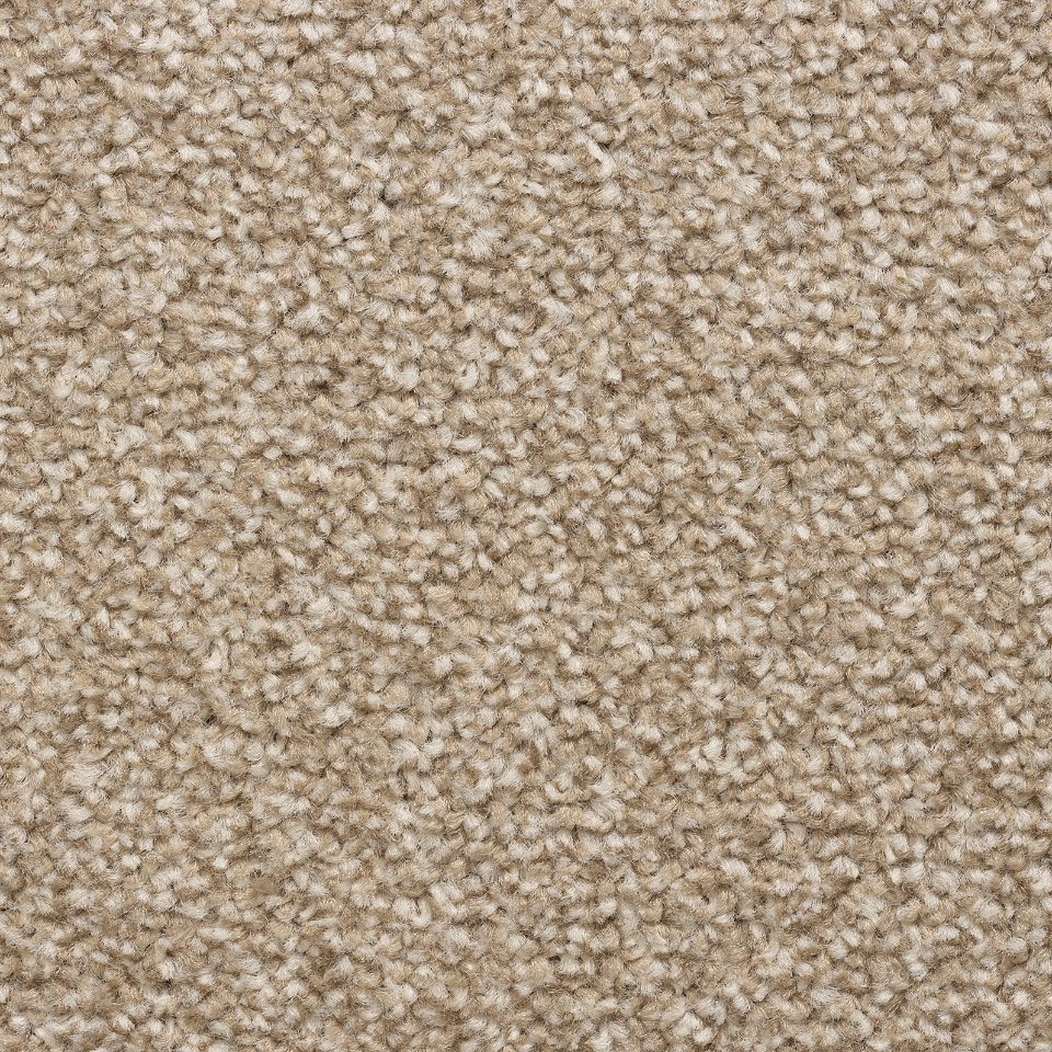 Adelaide twist pile carpet in colour 72