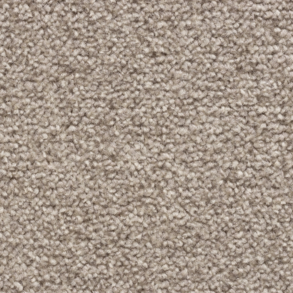 Adelaide twist pile carpet in 92