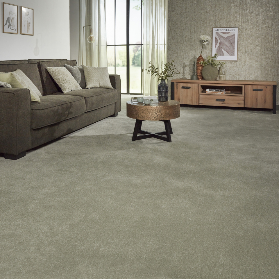 Adelaide twist pile carpet displayed in a lounge