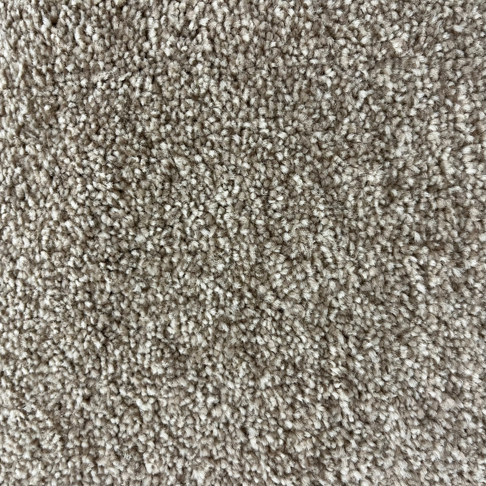 Alice Springs twist pile carpet in 72