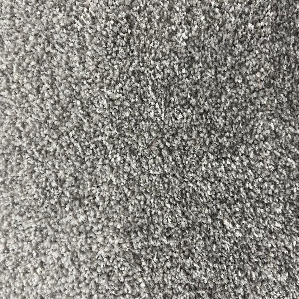 Alice Springs twist pile carpet in 74