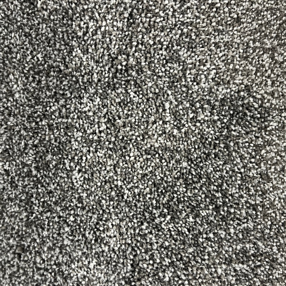 Alice Springs twist pile carpet in 77