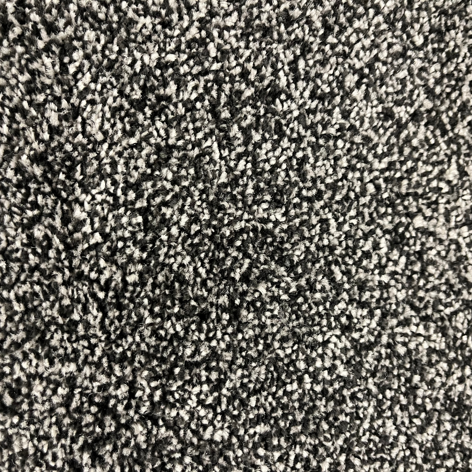 Alice Springs twist pile carpet in 78
