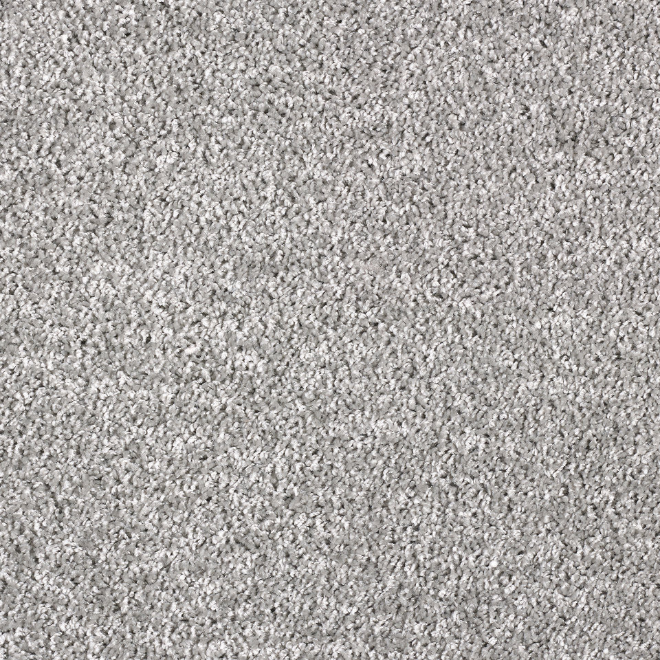 Arcadia saxony carpet in colour Silver