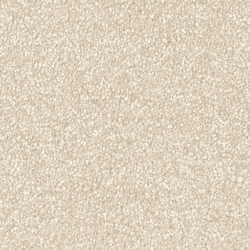 Arezzo saxony carpet in colour Silver