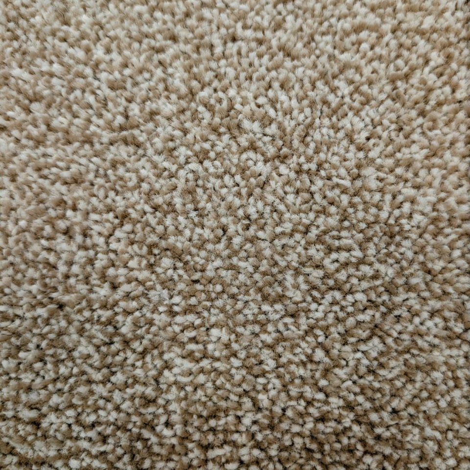 Brisbane twist pile carpet in 72