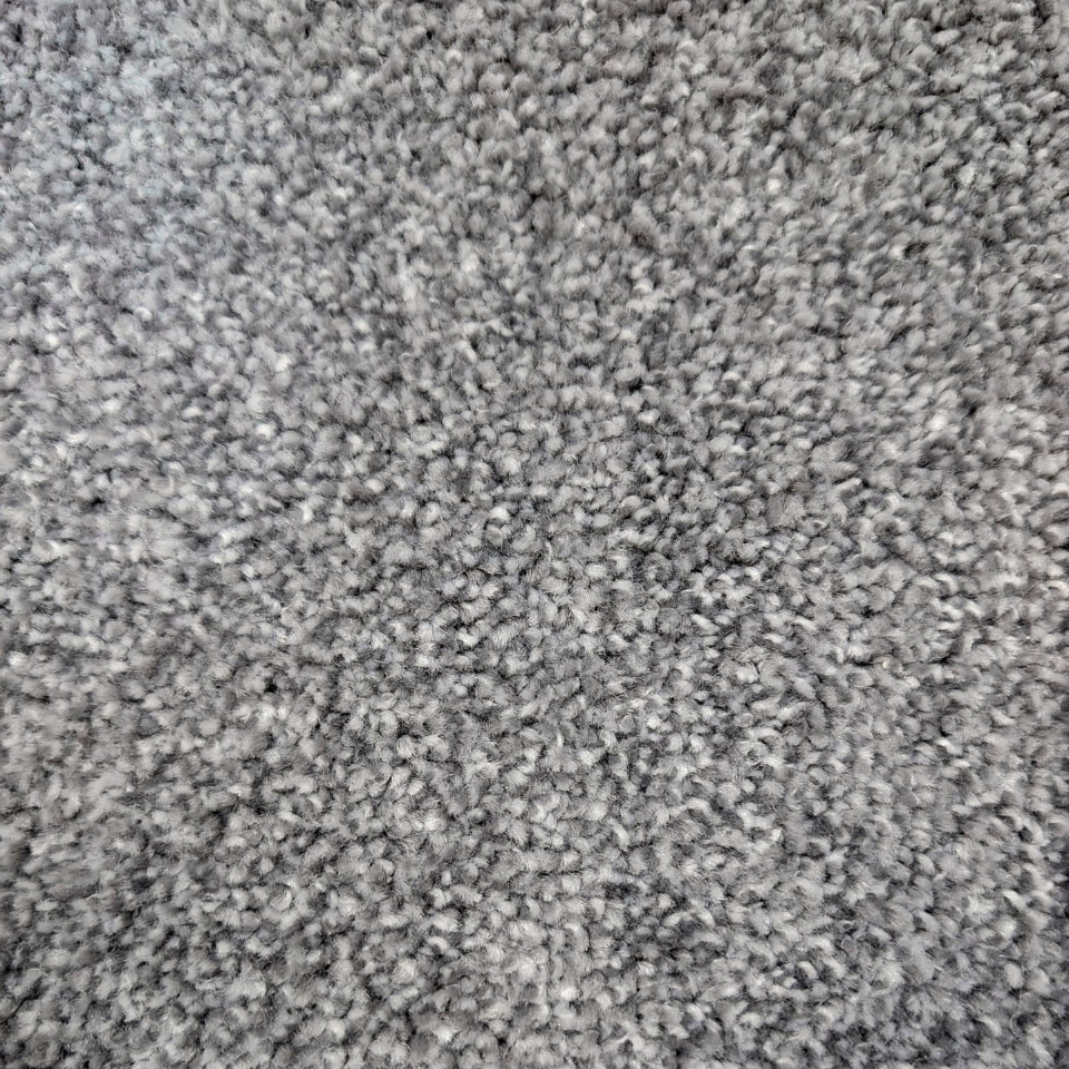 Brisbane twist pile carpet in 73