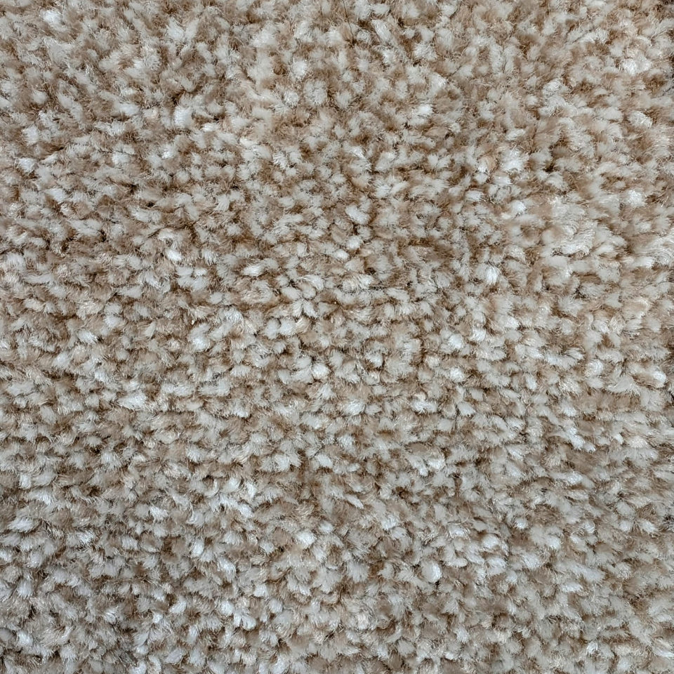 brisbane twist pile carpet in colour 91