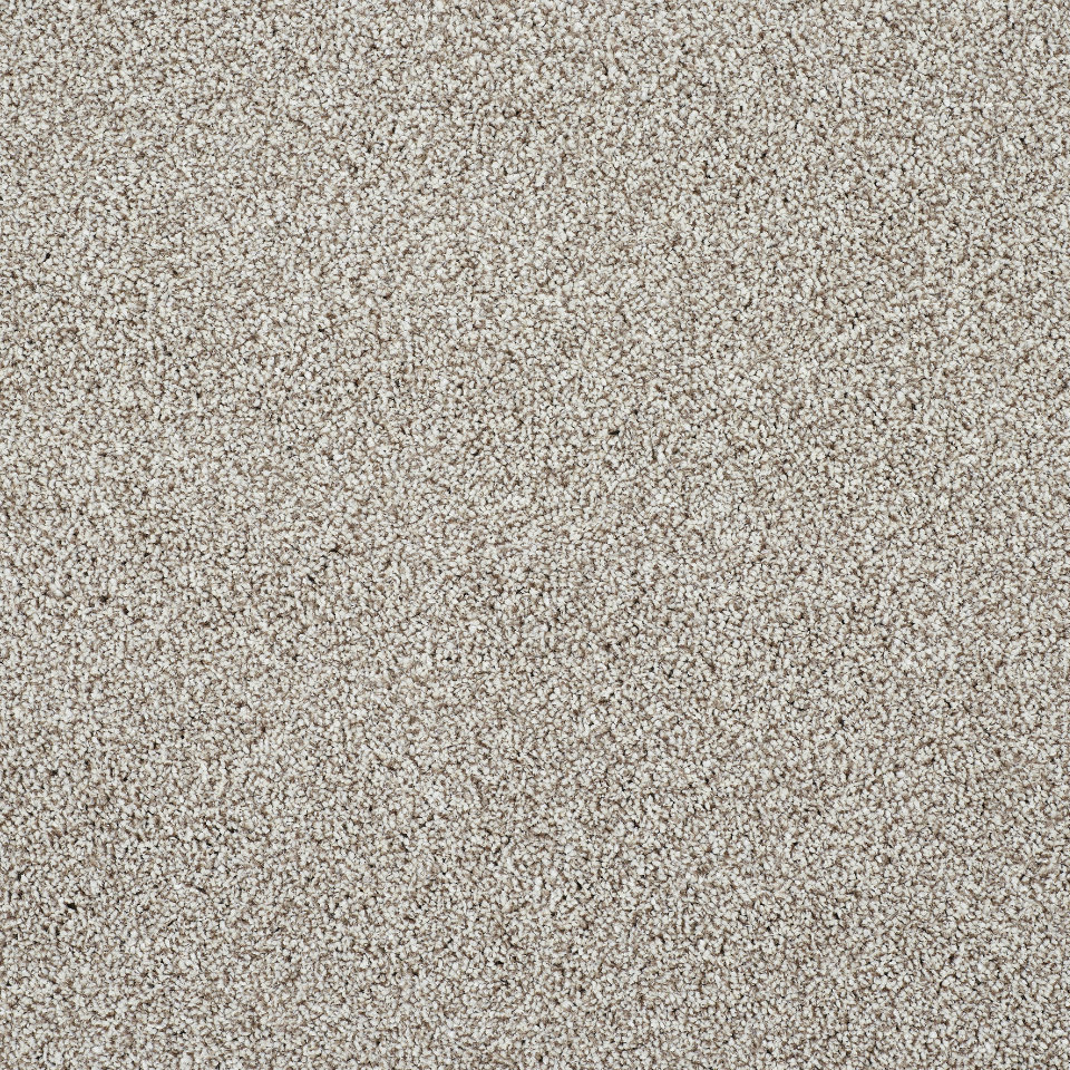 Caerphilly twist pile carpet in colour Tapestry