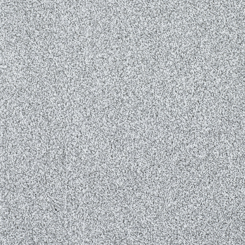 Caerphilly twist pile carpet in colour arctic fox