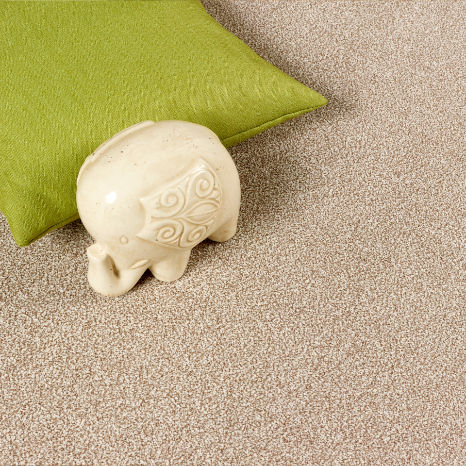 Caerphilly twist pile carpet with a money pot on the carpet