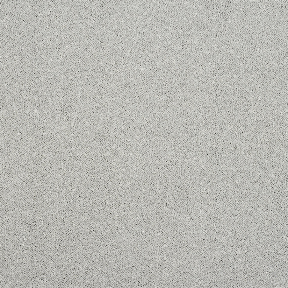 Captivation twist pile carpet in Tundra front