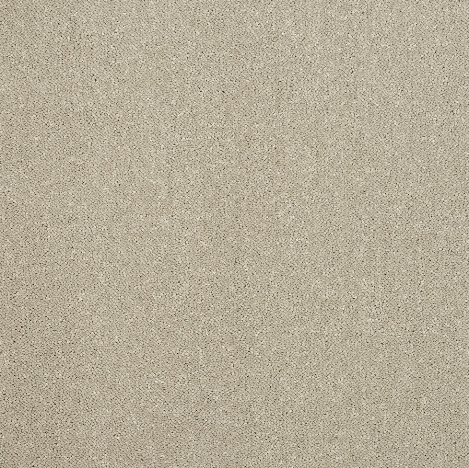 Captivation twist pile carpet in Moon cloud