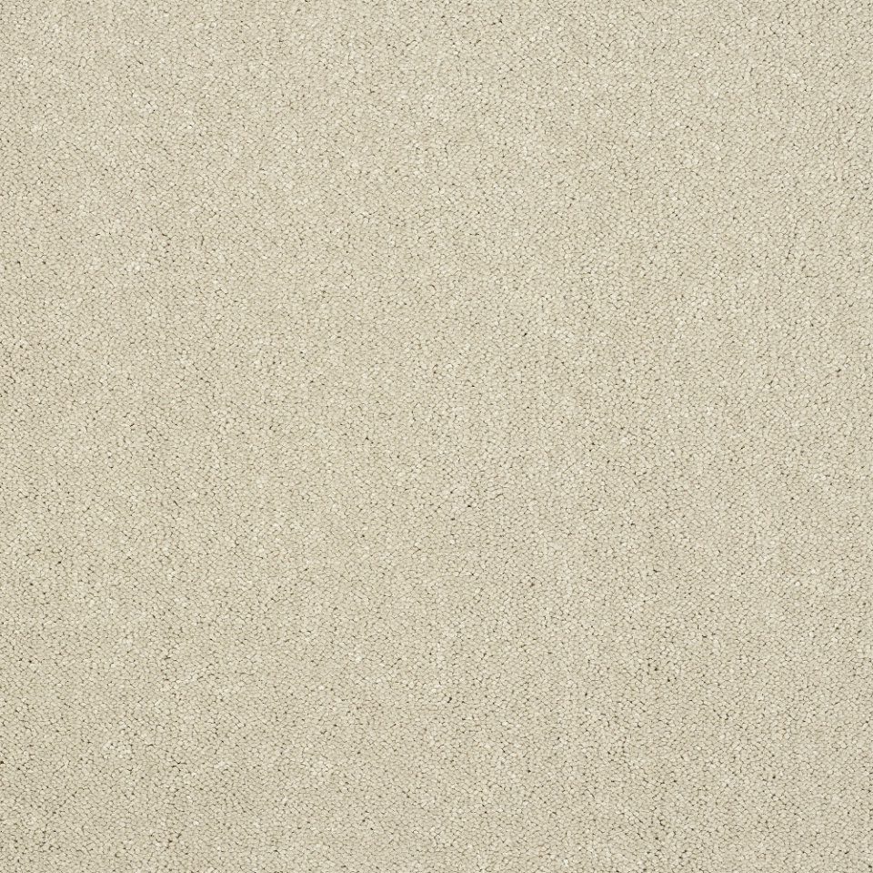 Captivation twist pile carpet in Turtle dove