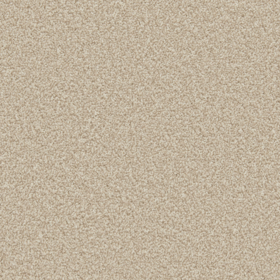 Classic Twist twist pile carpet in Biscotti