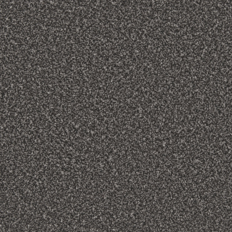 Classic Twist twist pile carpet in Bowler hat