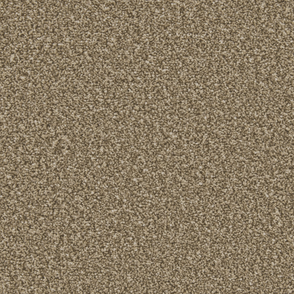 Classic Twist twist pile carpet in Cookie dough