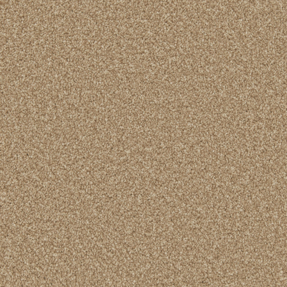 Classic Twist twist pile carpet in Latte
