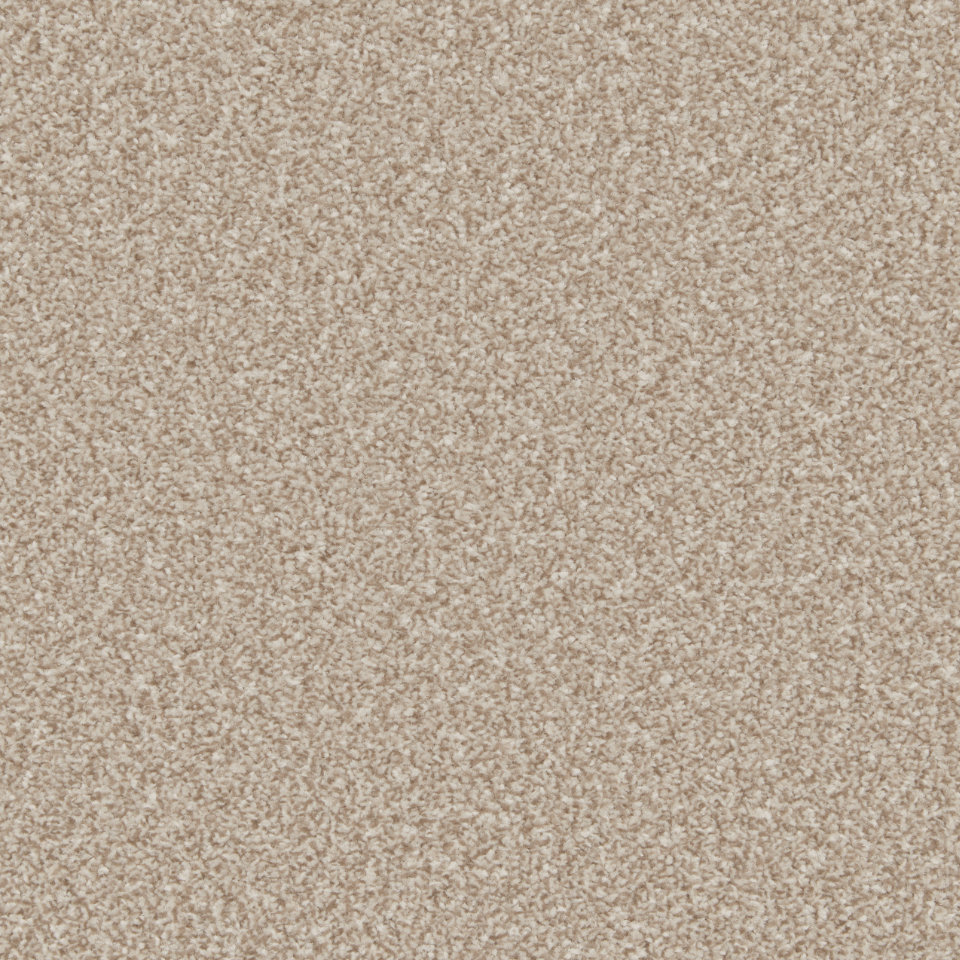 Classic Twist elite twist pile carpet in Doeskin