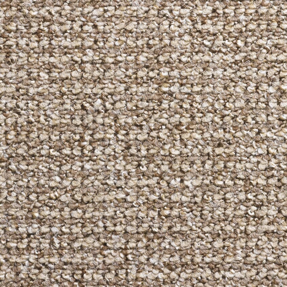 Columbia berber loop carpet in colour dark beige