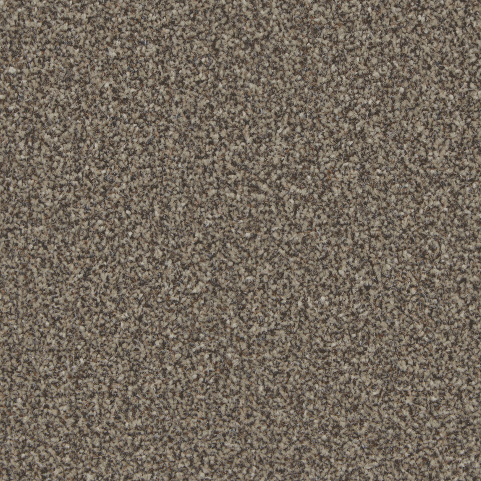 Florence twist pile carpet in Molasses
