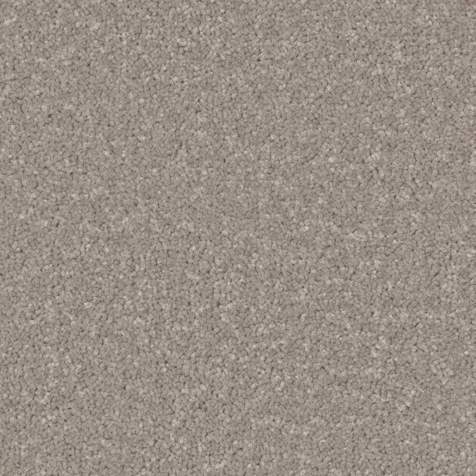 Florence twist pile carpet in colour mushroom