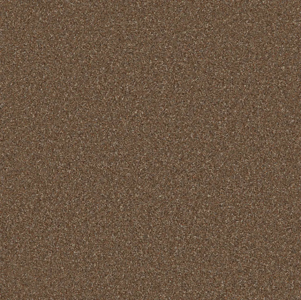 Londonderry twist pile carpet in Biscotti