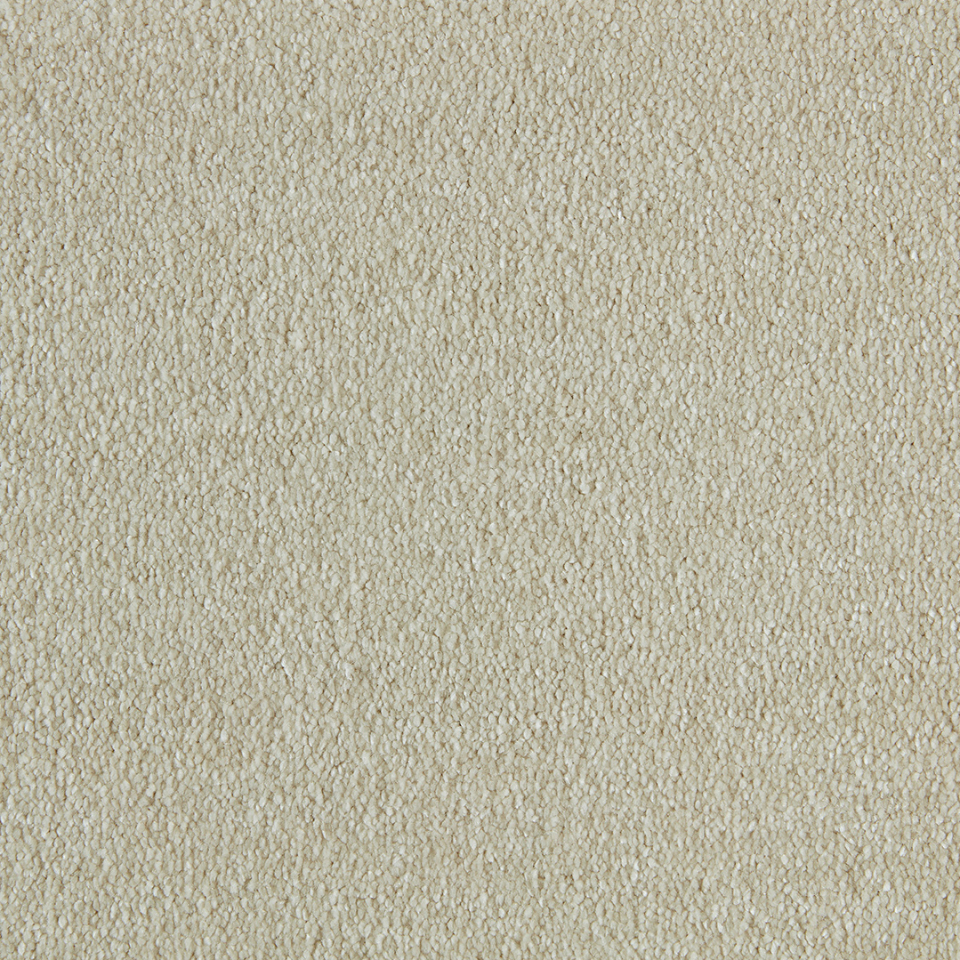 Philadelphia saxony carpet in colour Ivory