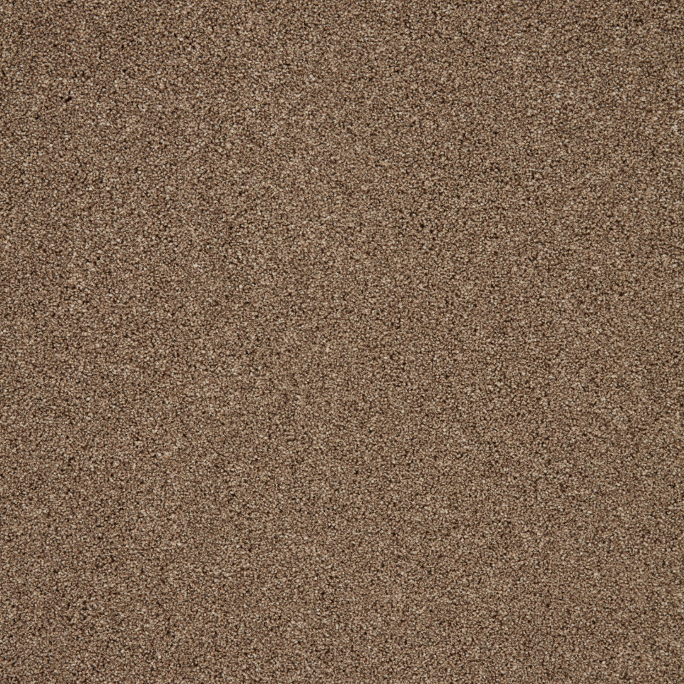 Pompei carpet in autumn trail