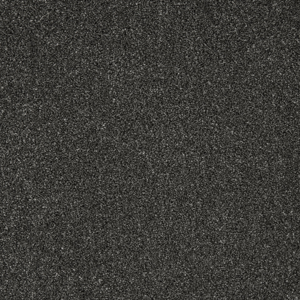 pompei twist pile carpet in Jet