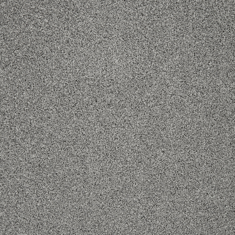 pompei twist pile carpet in Lapwing