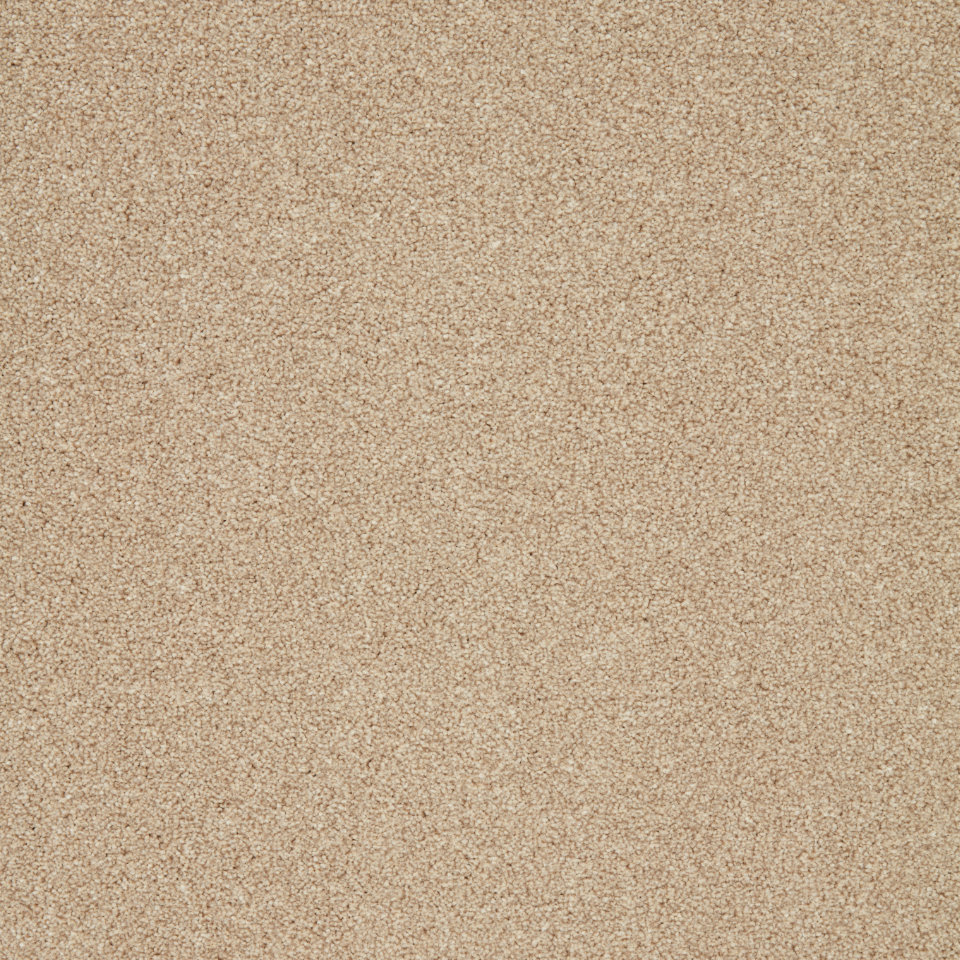 pompei twist pile carpet in Marshmallow
