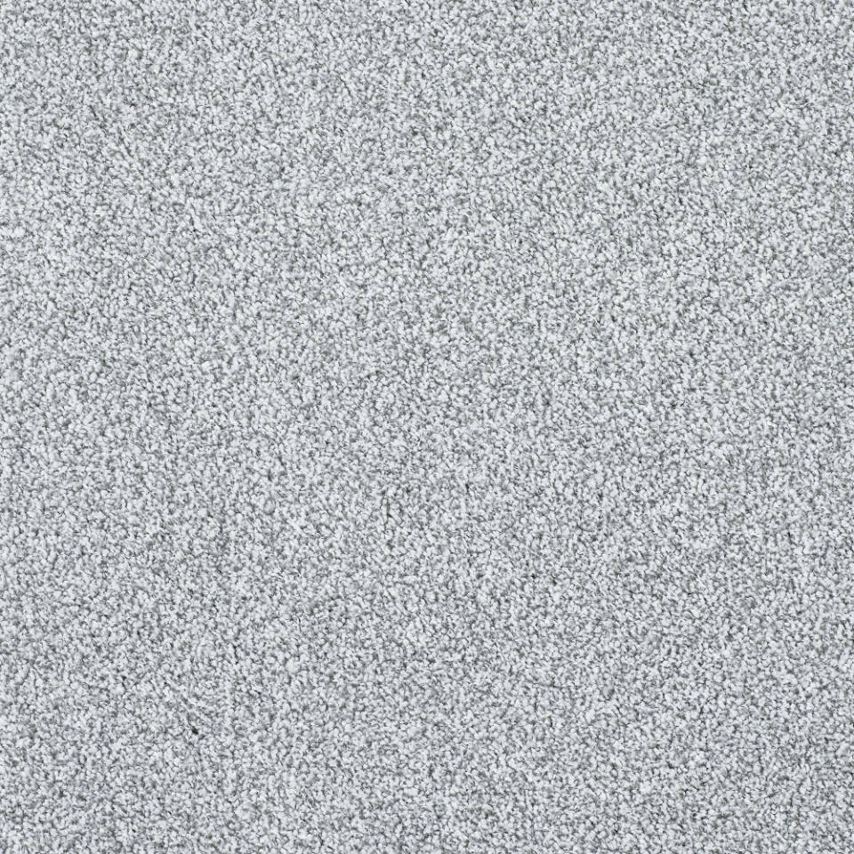Caerphilly saxony carpet in colour Arctic Fox