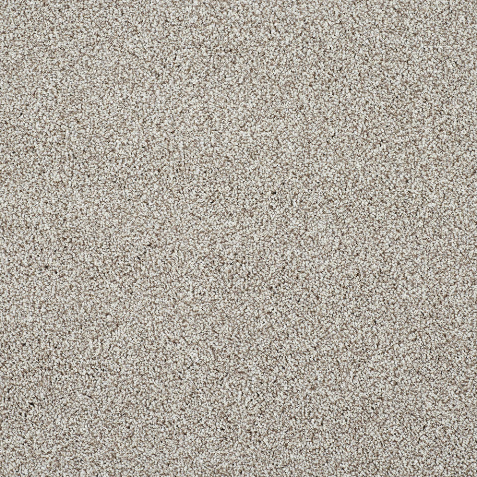 caerphilly saxony carpet in colour tapestry