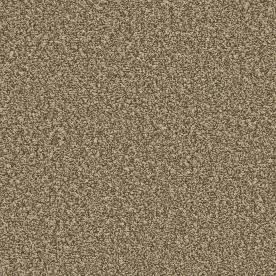Classic Twist twist pile carpet in Cork Oak