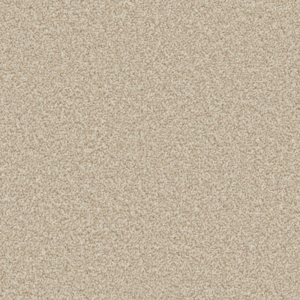 Classic Twist twist pile carpet in Shortbread