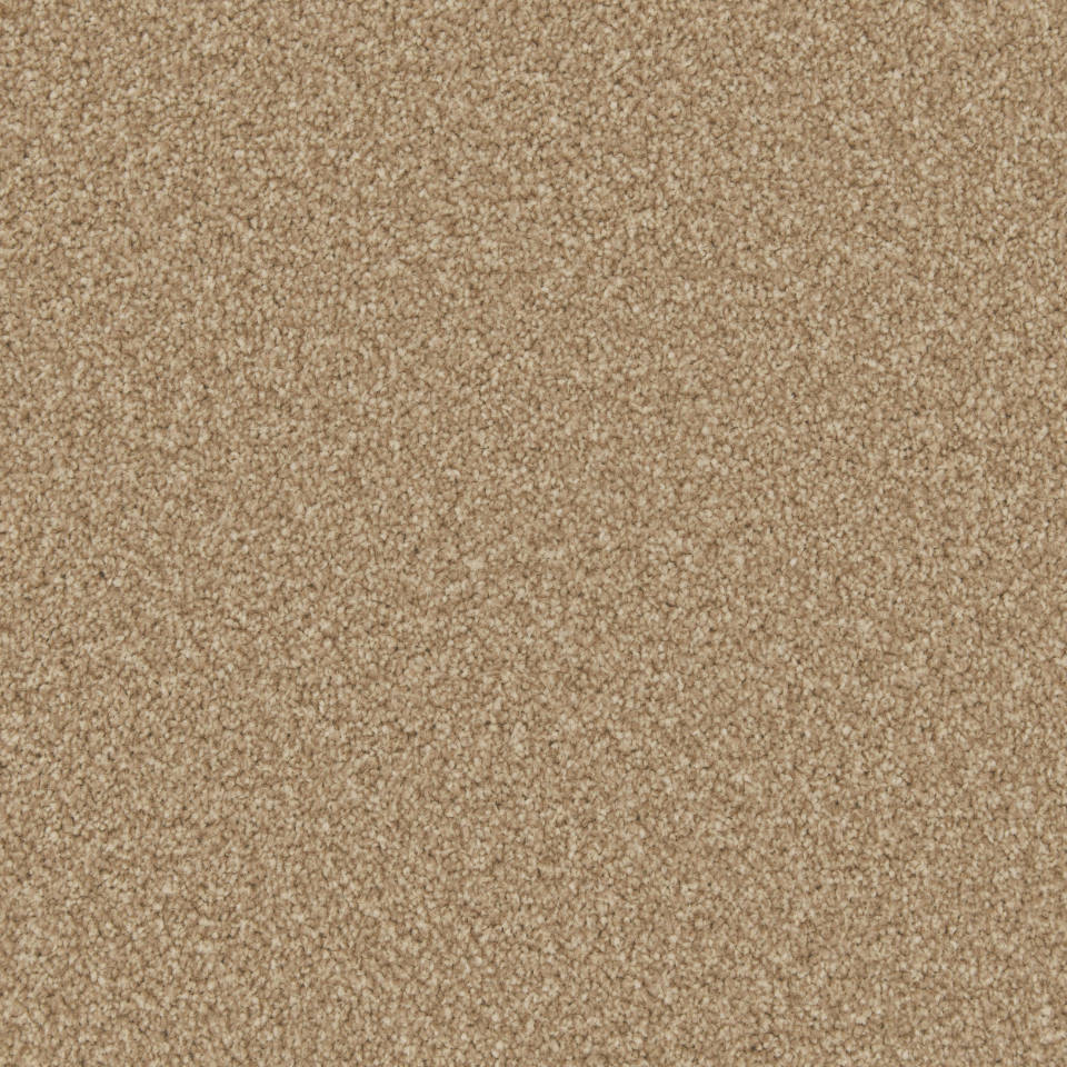 Classic Twist twist pile carpet in Stepping Stone