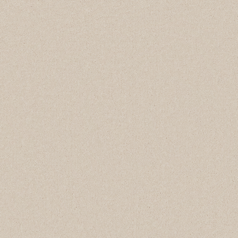 Elegance twist pile carpet in colour bone china