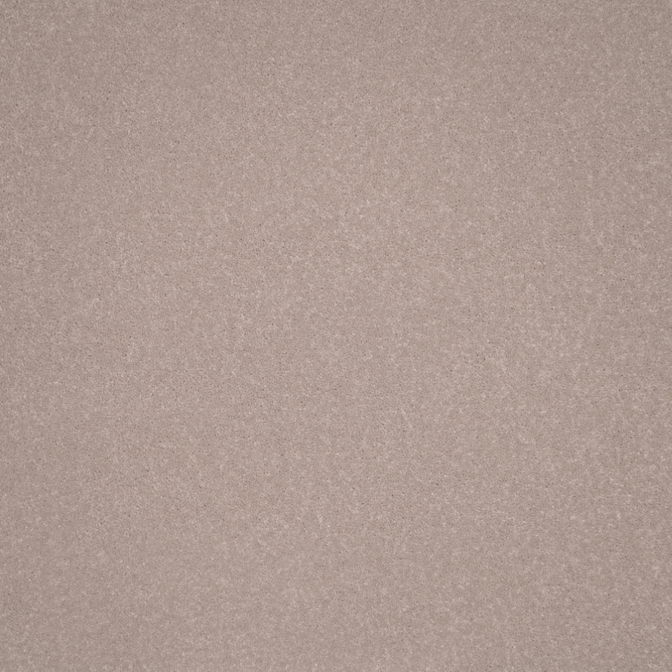 Elegance twist pile carpet in Druids Circle