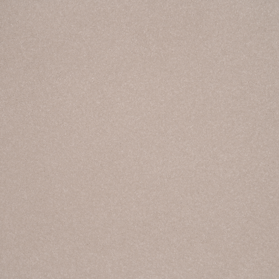 Elegance twist pile carpet in Magna Carter