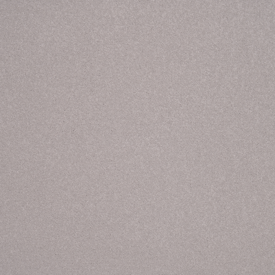 Elegance twist pile carpet in Snow Leopard