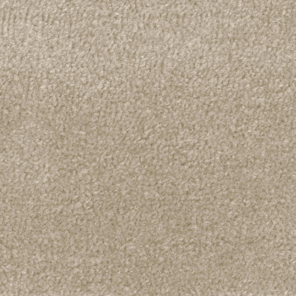 Essential Twist Twist Pile Carpet