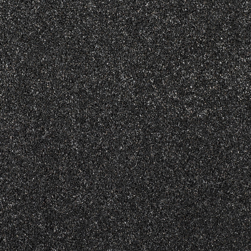 Festival saxony carpet in colour black magic