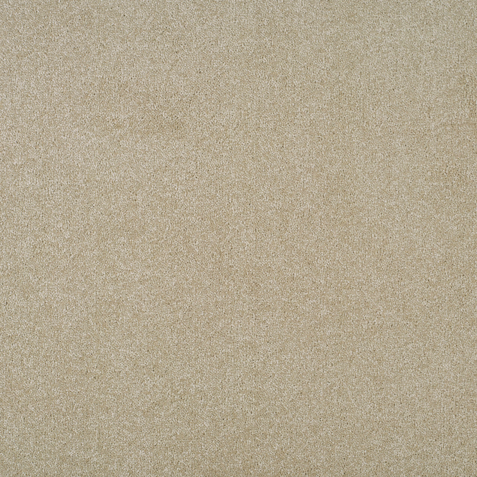 Grace twist pile carpet in Shimmer