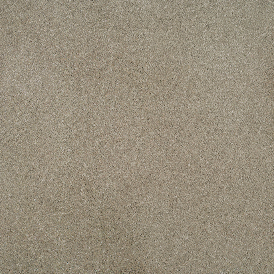 Grace twist pile carpet in Valour