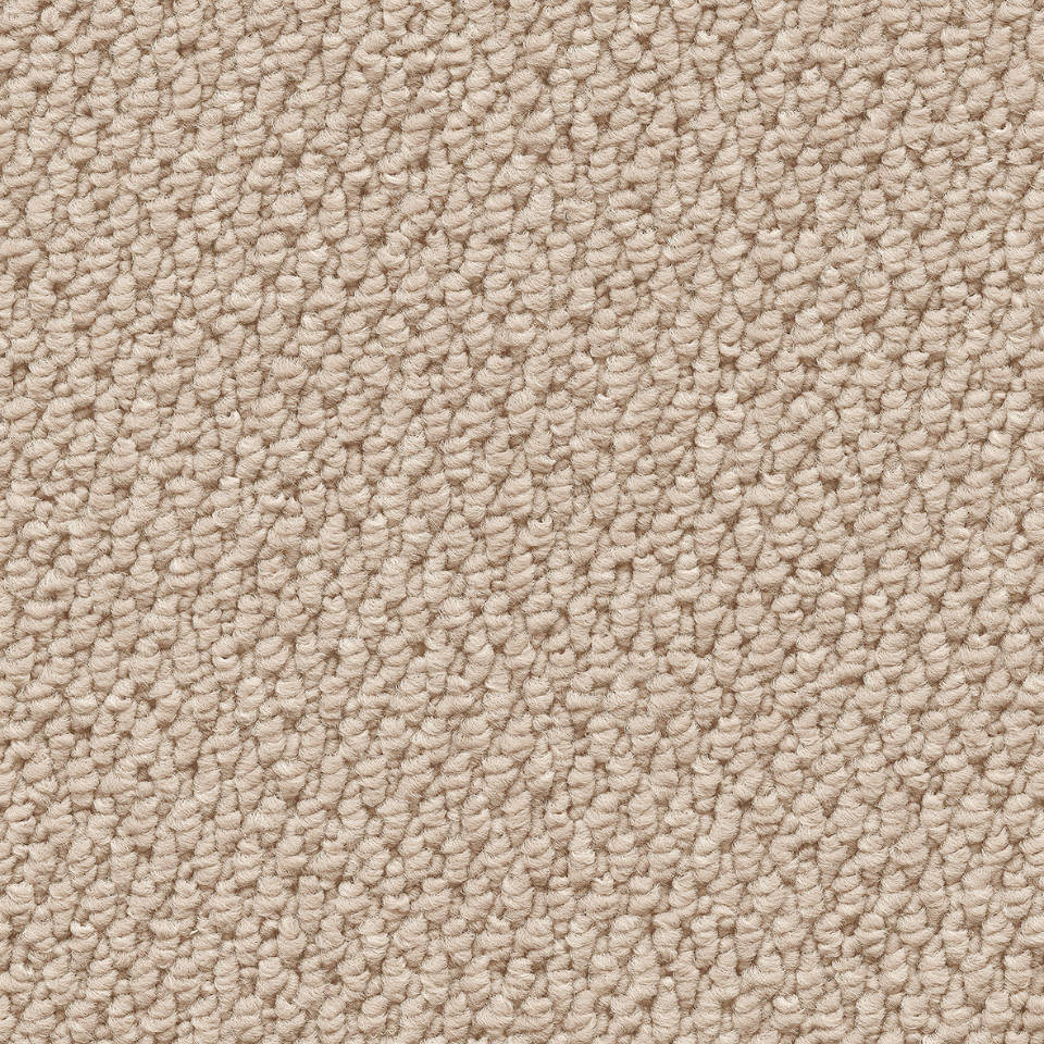 Island weave skye loop carpet in colour glace sand