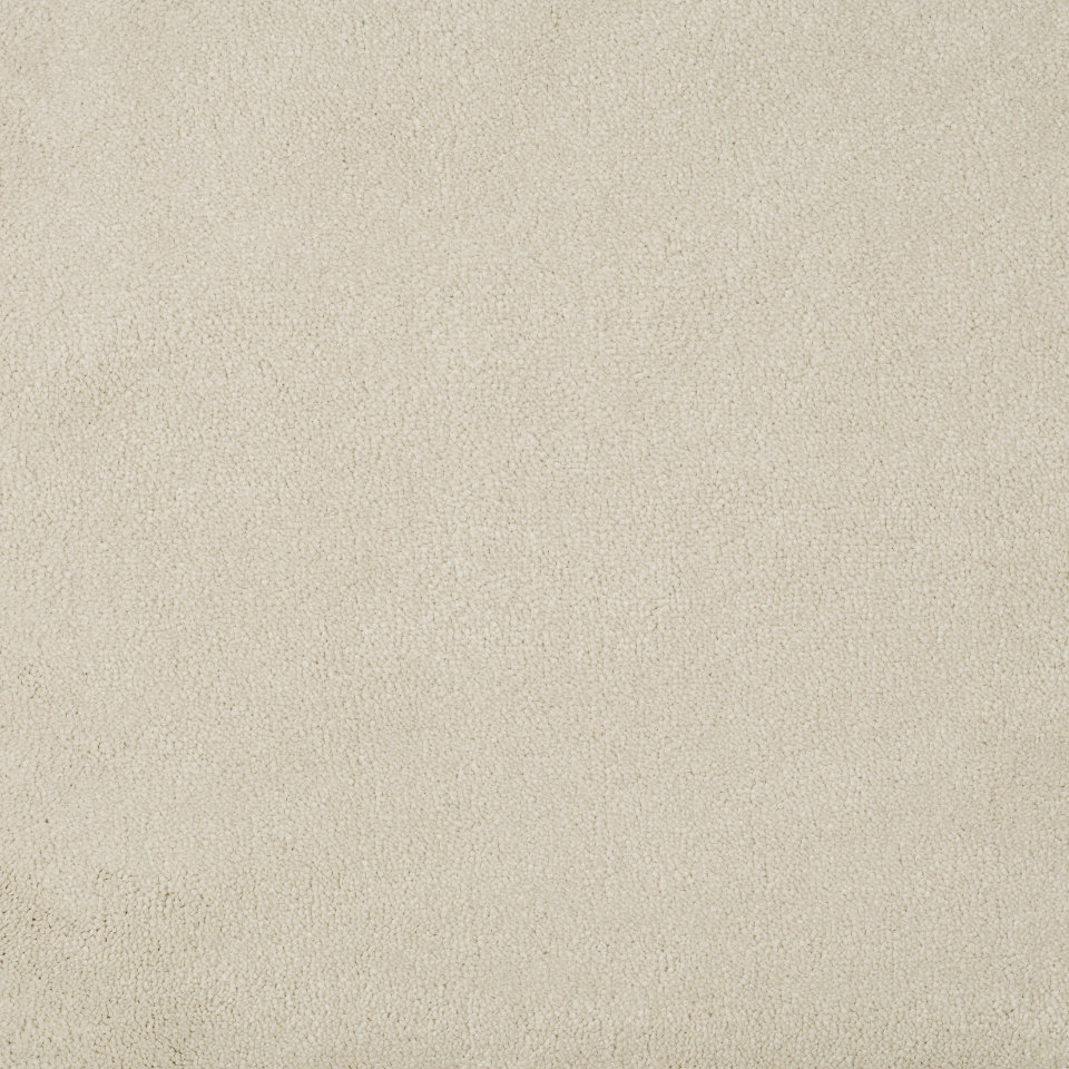 Izmir saxony carpet in colour chalkstone