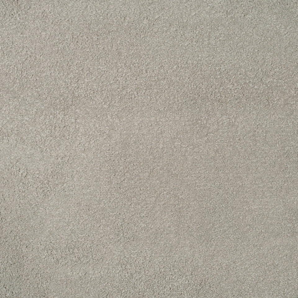 New York saxony carpet in colour Repose