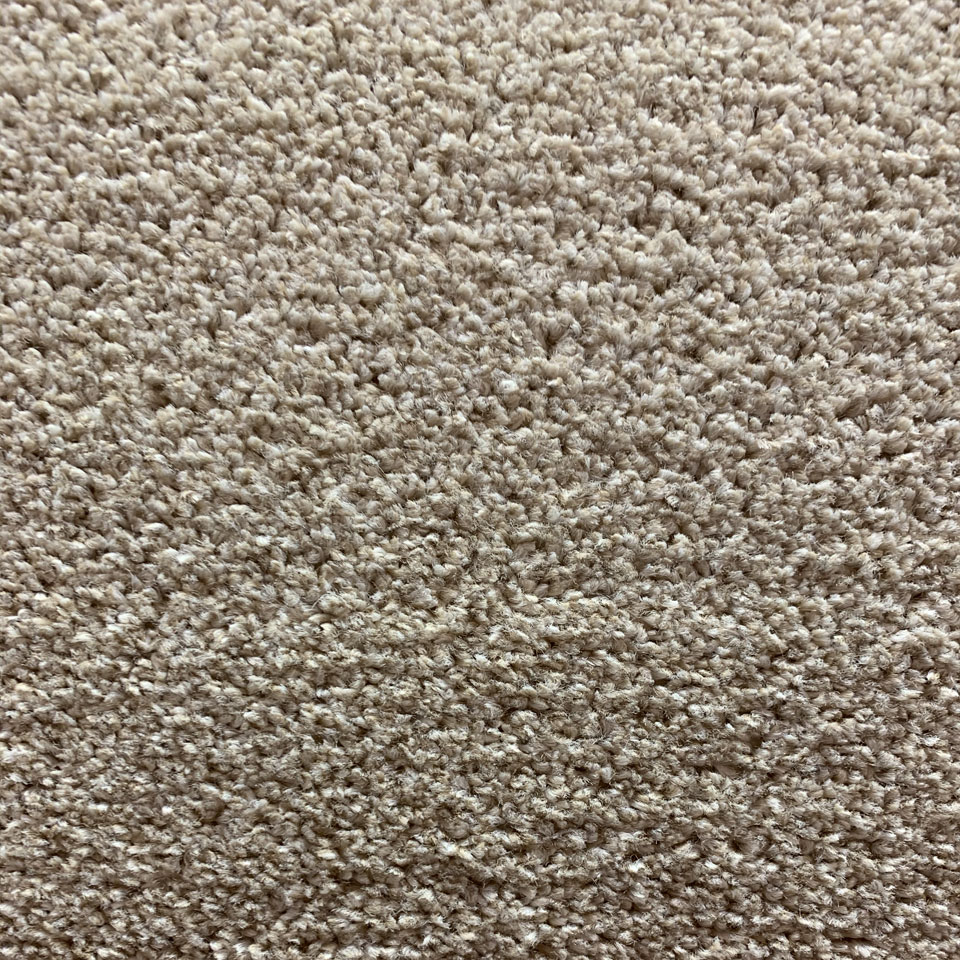 Londonderry twist pile carpet in cream