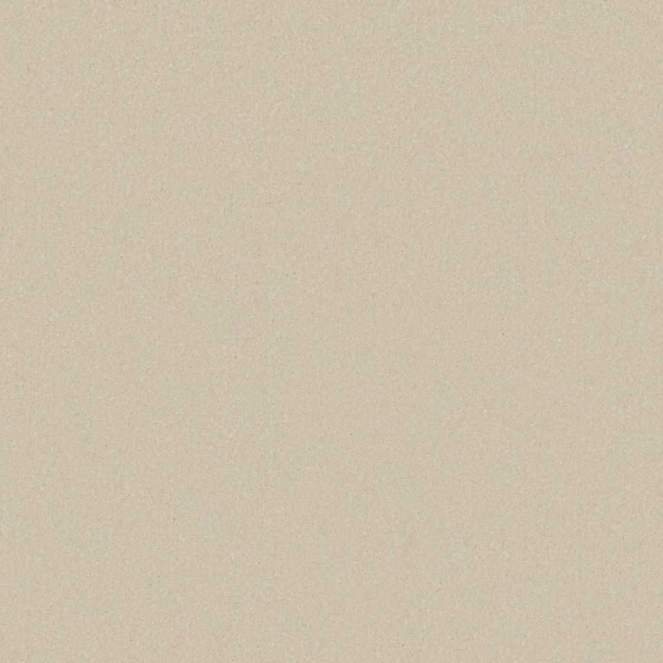 Lucca twist pile carpet in Snowdrift